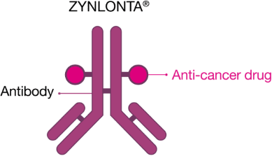 ZYNLONTA® antibody attached to anti-cancer drug